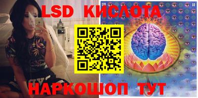 гашик Новокубанск