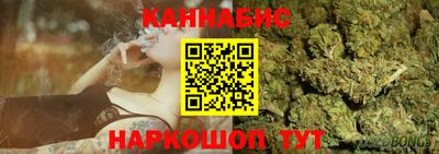 гашик Новокубанск
