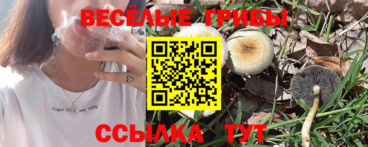 Псилоцибиновые грибы Cubensis Ростов-на-Дону