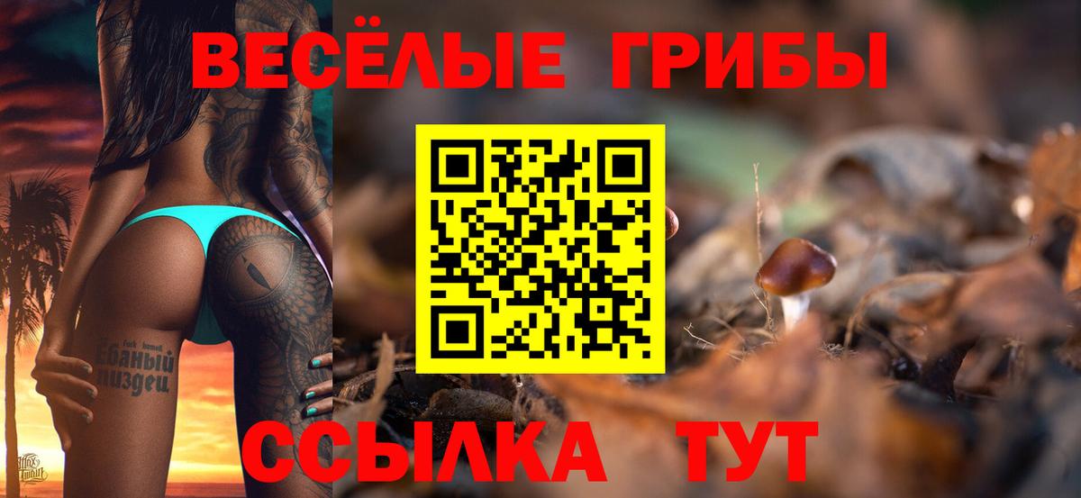 Ростов-на-Дону  Галлюциногенные грибы Psilocybine cubensis  Вход с VPN  Псилоцибиновые грибы Magic Shrooms 